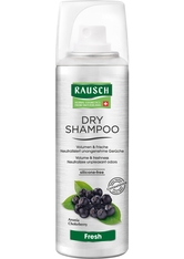 Rausch Dry Shampoo fresh Dosierspray Haarshampoo 0.05 l