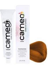 LOVE FOR HAIR Professional cameo color care-o-lution 0/33 gold  60 ml