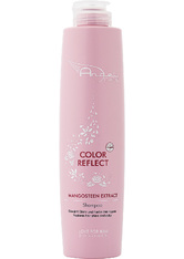 LOVE FOR HAIR Professional Angel Care Color Reflect Shampoo 300 ml