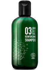 Great Lengths BIO A+O.E. 03 Reinforcing Shampoo 250 ml