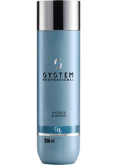 System Professional EnergyCode H1 Hydrate Shampoo 250 ml