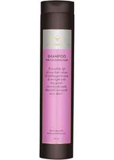 Lernberger & Stafsing Shampoo For Coloured Hair 250 ml