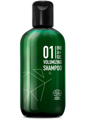 Great Lengths BIO A+O.E. 01 Volumizing Shampoo 250 ml