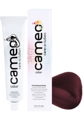 Cameo Color Haarfarbe 4/6i mittelbraun intensiv violett-intensiv 60 ml