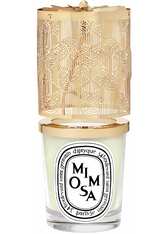 Diptyque Kerzen Accessoires Set Festliche Laterne mit Kerze Mimosa 2 Artikel im Set