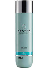 System Professional Hydrate Shampoo and Balance Conditioner Regime Bundle