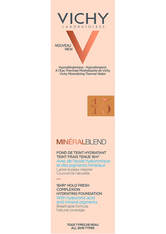 Vichy Produkte VICHY MINÉRALBLEND FLUID Make-up 15 terra,30ml Puder 30.0 ml