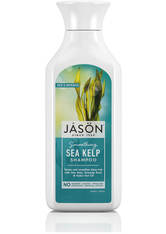 JASON Hair Care Sea Kelp and Porphyra Algae Shampoo 473ml