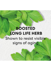 bareMinerals Skinlongevity Long Life Herb Night Treatment Nachtcreme 50 ml
