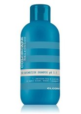 elgon HAIRCOLOR Colorcare RE-Animation Shampoo 300 ml