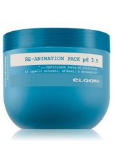 elgon HAIRCOLOR Colorcare RE-Animation Pack 300 ml
