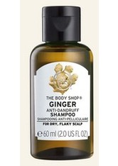 Anti-schuppen Shampoo Mit Ingwer 60 ML