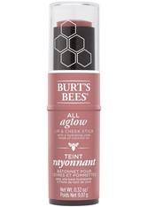 Burt's Bees 100% Natural All Aglow Lip & Cheek Stick 8.5g (Various Shades) - Suez Sands