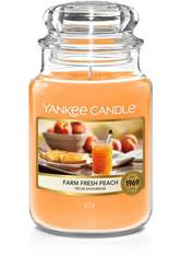 Yankee Candle Farm Fresh Peach Housewarmer Duftkerze 623 g