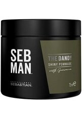 SEB MAN Dandy Haarcreme 75.0 ml
