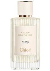 Chloé Atelier des Fleurs Herba Mimosa Eau de Parfum 150.0 ml