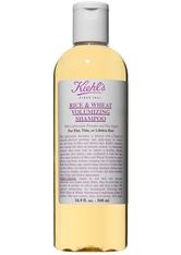 Kiehl's Rice & Wheat Volumizer Shampoo Volumen-Pflegeshampoo 500 ml