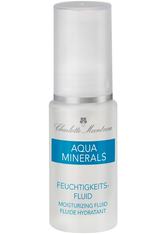 Charlotte Meentzen Aqua Minerals Feuchtigkeitsfluid 30 ml Gesichtsfluid