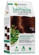GARNIER COLOR HERBALIA Haselnussbraun 100% pflanzliche Haarfarbe Haarfarbe 1 Stk