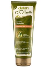 Dalan d’Olive Olivenöl Conditioner Haarspülung 200.0 ml