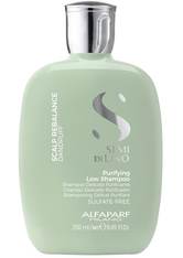 ALFAPARF MILANO Semi di Lino Scalp Rebalance Purifying Low Shampoo 250.0 ml