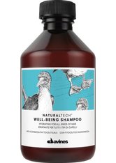 Davines Pflege Naturaltech Well-Being Shampoo 250 ml