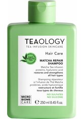 Teaology Matcha Repair Shampoo Shampoo 250.0 ml