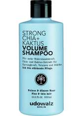 Udo Walz Haarpflege Strong Chia Volume Shampoo 300 ml