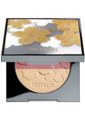 Glow Blusher - Limited Silver & Gold Edition - dress up